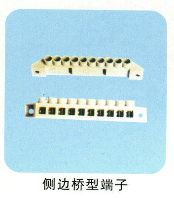 樂(lè)清廠家直銷(xiāo)側(cè)邊橋型端子 連接器領(lǐng)域的高性價(jià)比解決方案